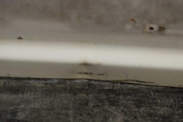 PORTE ARRIERE GAUCHE CITROEN JUMPY / PEUGEOT EXPERT / FIAT SCUDO 2007-2016 ( TOLEE ) - Vue 6